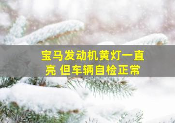 宝马发动机黄灯一直亮 但车辆自检正常